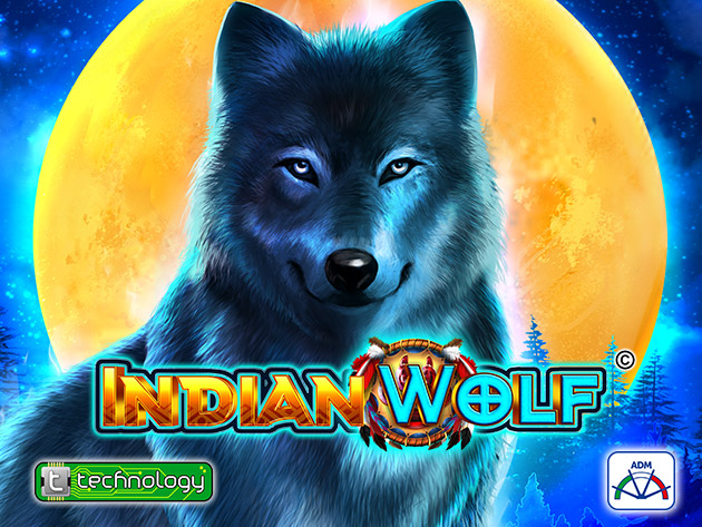 Indian Wolf 1