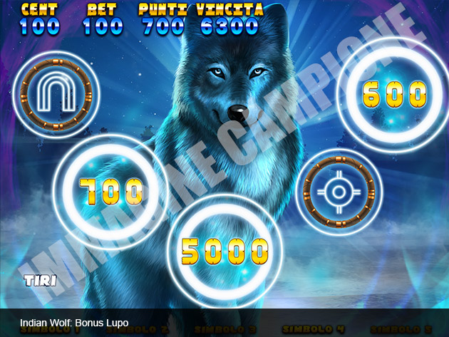 Indian Wolf 4
